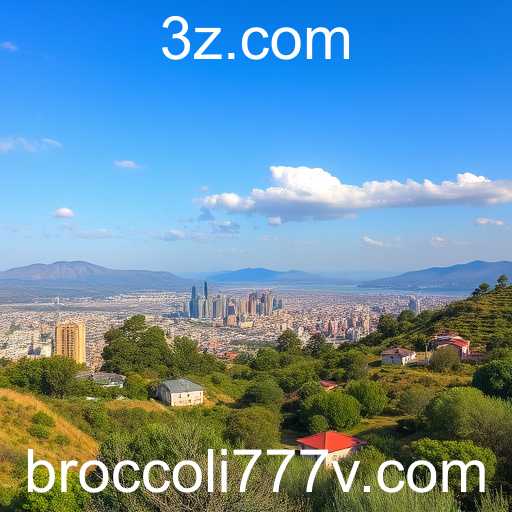 broccoli777.vip